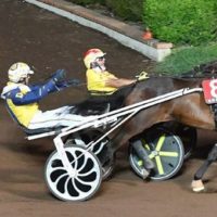 L’estate dell’Ippodromo Sesana: stasera un’altra serata di corse in notturna