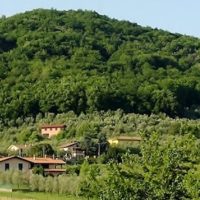 Padule, domenica escursione al Poggio alla Guardia