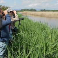 Padule: per l’Open Week aperture del Centro visite e dell’osservatorio de Le Morette