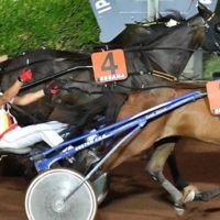 Ippodromo Sesana, si corre dopo il record di presenze al gp di Ferragosto