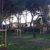 Restyling parco Suor Annunziata. Da mercoledì asfaltatura corso Roma e via vecchia Maona