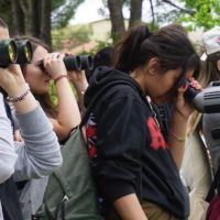 Padule, monitoraggio delle colonie di aironi e ibis degli studenti dell’Università di Firenze