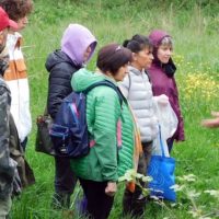 Alla scoperta del Padule, delle erbe spontanee alimentari con un corso e della natura in città