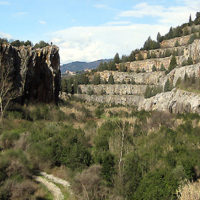 Padule, sabato passeggiata sul Colle di Monsummano alla scoperta delle piante della macchia mediterranea (con gli occhi di Leonardo)