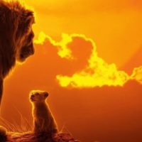 Le trame dei film proiettati nei nostri cinema