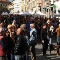 Domenica 26 gennaio gran ritorno di “Pescia Antiqua”. Visite al Palagio e alla Gipsoteca
