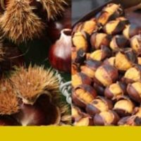 A Vellano festa dedicata alla farina di castagne da venerdi 17 a domenica 19 gennaio
