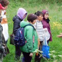 Padule, torna a grande richiesta il corso “Le buone erbe – Alla scoperta delle piante spontanee alimentari”