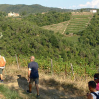 Padule di Fucecchio: aperture del Centro visite ed escursioni guidate