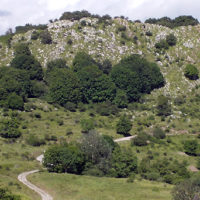 Autunno in Valdinievole: il calendario si conclude domenica 31 con l’escursione sulle colline di Pescia