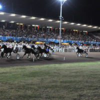 Ippodromo Sesana, da sabato 27 maggio riprendono le corse con tante iniziative collaterali
