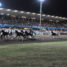 Ippodromo Sesana, da sabato 27 maggio riprendono le corse con tante iniziative collaterali