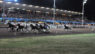 Ippodromo Sesana, da sabato 27 maggio riprendono le corse con tante iniziative collaterali