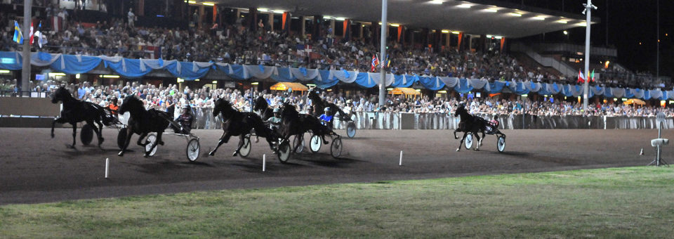 Ippodromo Sesana, i cavalli della sfida di Ferragosto con Vernissage Grif che punta al tris di vittorie