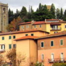 Intervento straordinario di manutenzione del verde alla Rocca di Montecatini Alto