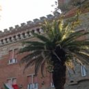 Sfida per il migliore cappuccino, protagonisti gli allievi della scuola Alberghiera. Gli studenti premiati da una speciale giuria
