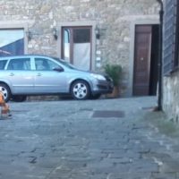 Proseguono i lavori di rifacimento delle strade in città e a Montecatini Alto