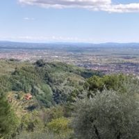 4 giugno torna l’appuntamento βSgranar per colliβ a Buggiano