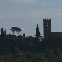 “Camminate nella biodiversità” con il Fai: sabato 17 e domenica 18 maggio visita agli orti e giardini privati di Buggiano Castello