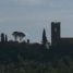 “Camminate nella biodiversità” con il Fai: sabato 17 e domenica 18 maggio visita agli orti e giardini privati di Buggiano Castello