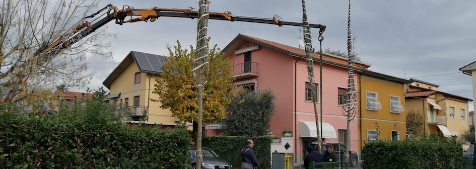 In Arrivo 40 Nuove Piante Ma La Pioggia Fa Saltare La festa Dell 