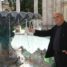 Parole della domenica, Terme a rischio fallimento chiesto dalle banche
