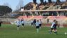 Parole della domenica, erba sintetica allo stadio ma il turismo sportivo di alto livello potrebbe essere penalizzato
