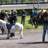 Il 2 giugno torna “Bimbofantasy”, grande festa per le famiglie all’Ippodromo
