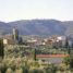 Feste in Valdinievole: tutti gli eventi a Croci; iniziata la festa del vino a Montecarlo; 6-7 settembre “Oltre la Rocca” a Montecatini Alto