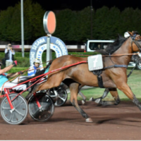 Gran premio di Ferragosto al Sesana: trionfo a sorpresa per Vincerò Gar nella finale rinviata per pioggia