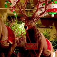 Aria di Natale in Valdinievole: iniziative a Pescia e a Collodi; Pescia mette in mostra i suoi tesori