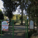 Feste in Valdinievole: 8 giugno inizia a Borgo a Buggiano la sagra del pane toscano e… birra
