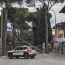 Il forte vento fa una “strage” di alberi. Cresce l’allarme. Giovedì niente scuole e mercato, chiusi i viali a rischio caduta piante e la pineta