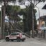 Il forte vento fa una “strage” di alberi. Cresce l’allarme. Giovedì niente scuole e mercato, chiusi i viali a rischio caduta piante e la pineta
