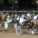 Sabato 5 giugno all’Ippodromo Sesana seconda giornata di corse al trotto con tante iniziative collaterali per le famiglie