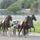 Ippodromo Sesana: venerdì 1° novembre finisce la stagione con corse e tante iniziative per bambini e famiglie