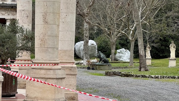 Il parco del Tettuccio resterà chiuso in gran parte: controlli su tutte le piante dopo il crollo di un grosso platano