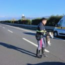 Gattina impaurita sull’autostrada salvata dall’intervento della Polizia stradale