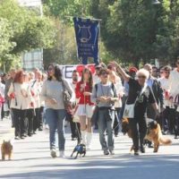 Domenica 25 maggio ventesima edizione del “Dog pride”: sfilata di centinaia di cani nelle vie del centro e giochi in pineta. Presenti diversi ospiti illustri