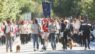 “Una giornata da cani” domenica 24 maggio una edizione rinnovata del “Dog Pride”: Ceccherini e Wikipedro ospiti d’onore