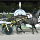 Ippodromo Sesana, Ernesto Spritz trionfa nella 73a edizione del Gp Città di Montecatini davanti a 4000 spettatori