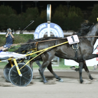 Ippodromo Sesana, Ernesto Spritz trionfa nella 73a edizione del Gp Città di Montecatini davanti a 4000 spettatori