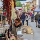 Domenica 12 aprile in via Marruota a Montecatini Terme sboccia la “Festa di primavera”: mercatino, fiori, gastronomia e tanto altro