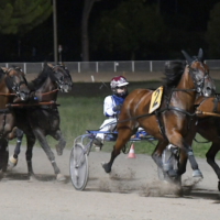 La stagione all’Ippodromo Sesana è entrata nel vivo: sabato 1° agosto sono di scena le pariglie e il trotto montato