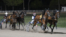 La stagione all’Ippodromo Sesana è entrata nel vivo: sabato 1° agosto sono di scena le pariglie e il trotto montato