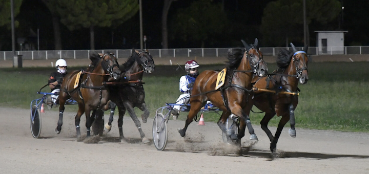 La stagione all’Ippodromo Sesana è entrata nel vivo: sabato 1° agosto sono di scena le pariglie e il trotto montato
