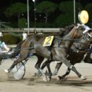 Ippodromo Sesana, Edoardo Baldi trionfo e record della corsa nelle pariglie con Elva Jet e Fiorenza Cla; trotto montato vince Cornelia Op