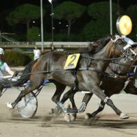 Ippodromo Sesana, Edoardo Baldi trionfo e record della corsa nelle pariglie con Elva Jet e Fiorenza Cla; trotto montato vince Cornelia Op