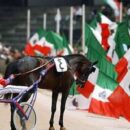 Ippica in lutto, è morto Varenne: addio al Capitano diventato leggenda per le sue straordinarie vittorie in tutto il mondo