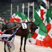 Ippica in lutto, è morto Varenne: addio al Capitano diventato leggenda per le sue straordinarie vittorie in tutto il mondo